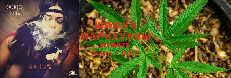 Марихуана White Widow  Сегежа 